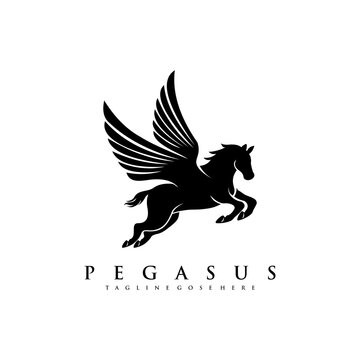 PEGASUS